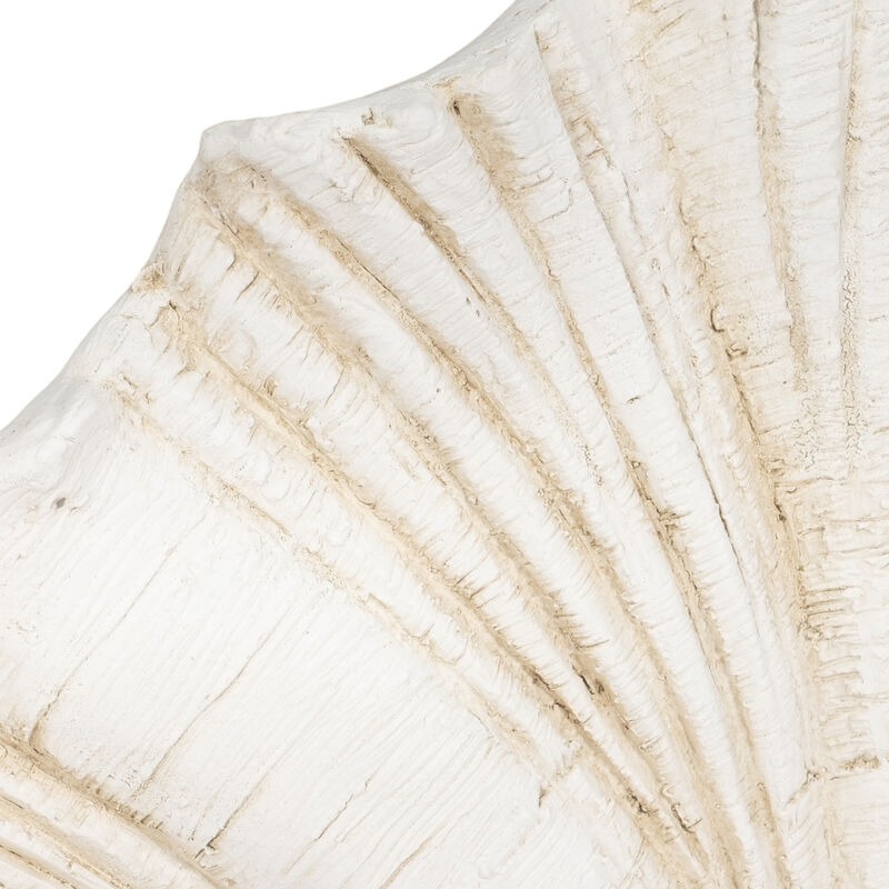 22" Scallop Shell Decor, White image number 4