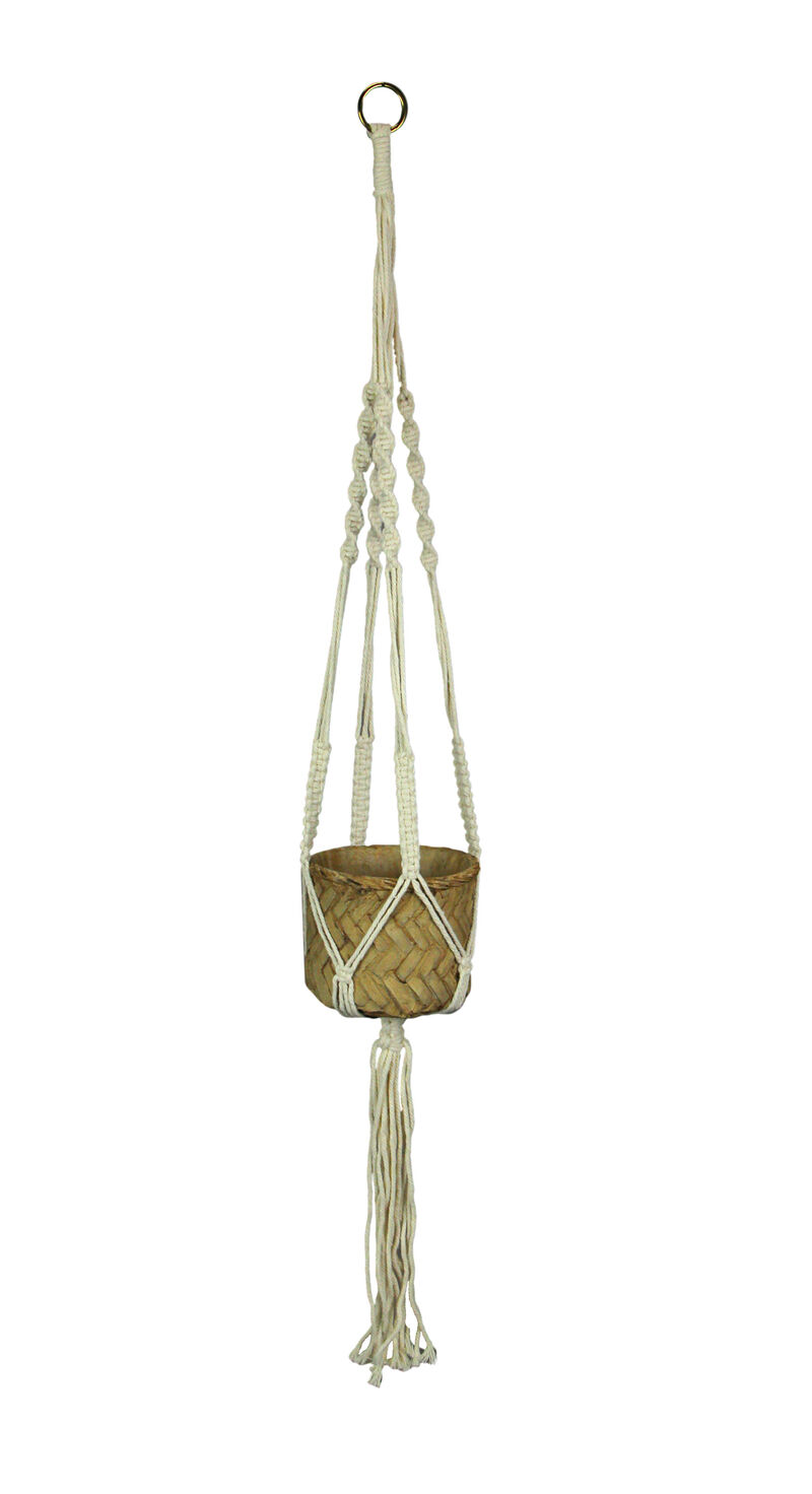 Rope Hanging Cement Succulent Bowl Flower Pot Home Decor Decorative Planter image number 0