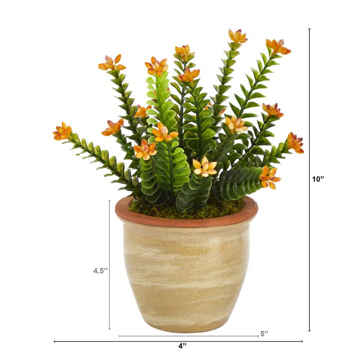 HomPlanti 10" Flowering Sedum Succulent Artificial Plant in Ceramic Planter