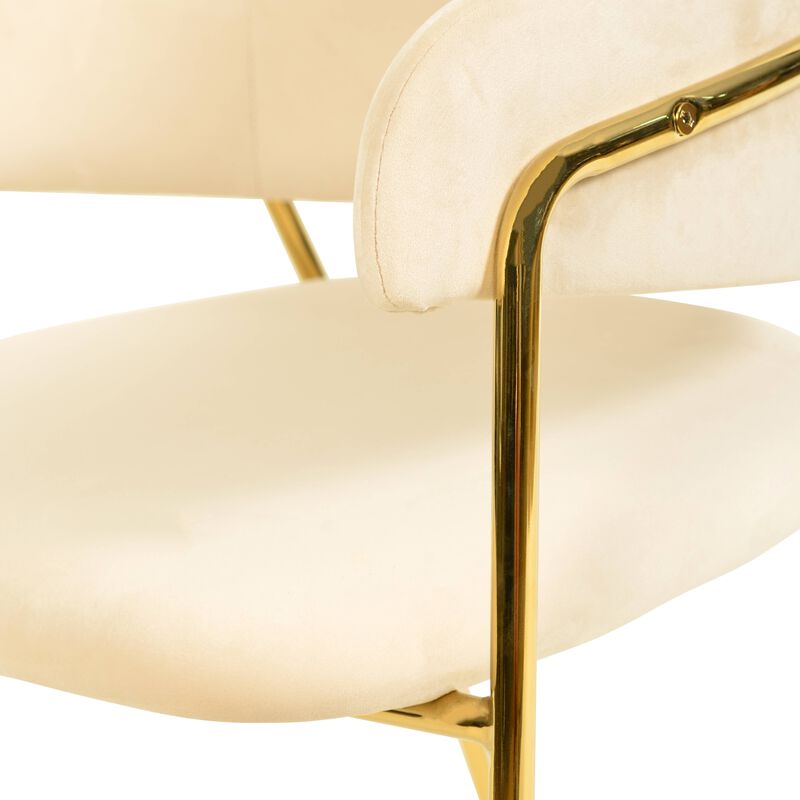 Axis Upholstered Dining Chairs Curved Open-Back & Gold Legs Set of 2 in