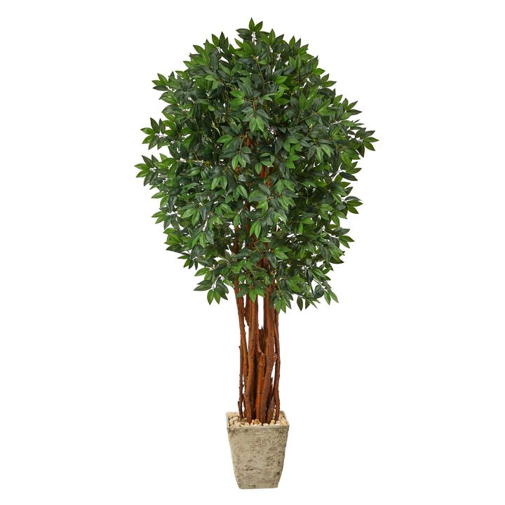 Nearly Natural 6-ft Lychee Artificial Tree in Country White Planter