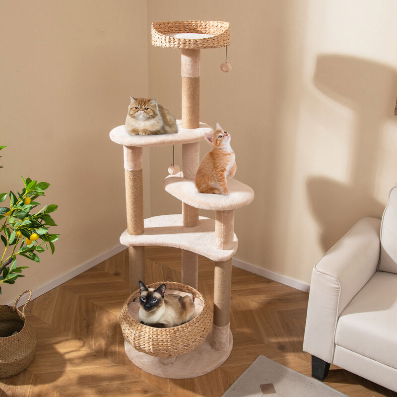 59" Cat Tree for Indoor Cats with Perch, Soft Hammock & Scratching Posts