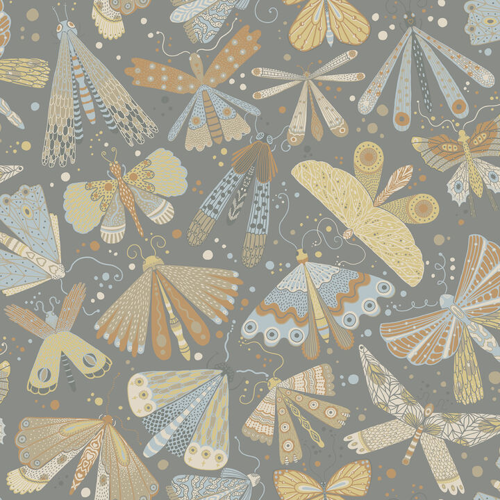 Flyga Apricot Bonanza Wallpaper