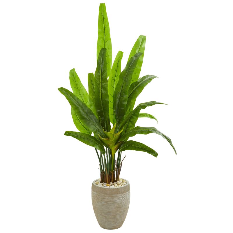 HomPlanti 64 Inches Travelers Palm Artificial Tree in Sand Colored Planter