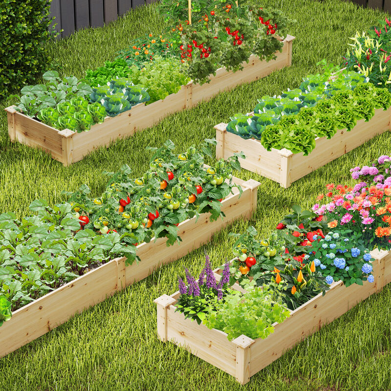 Raised Garden Bed with 2 Planter Boxes and Dividers for Organized and Efficient Outdoor Gardening