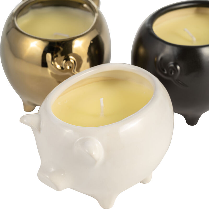 S/3 Vanilla Sandalwood Candle image number 4