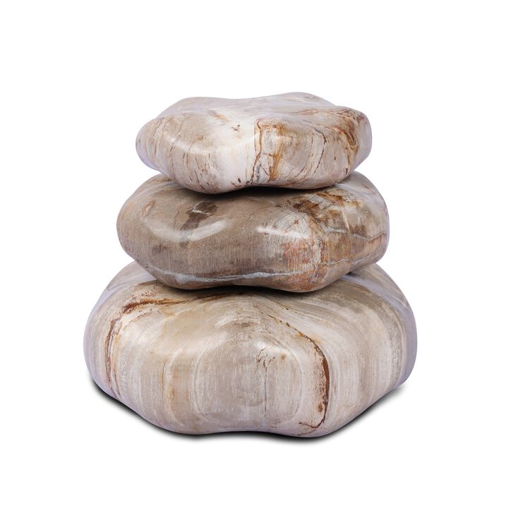 Petrified Wood Organic Sculpture (Set of 3)