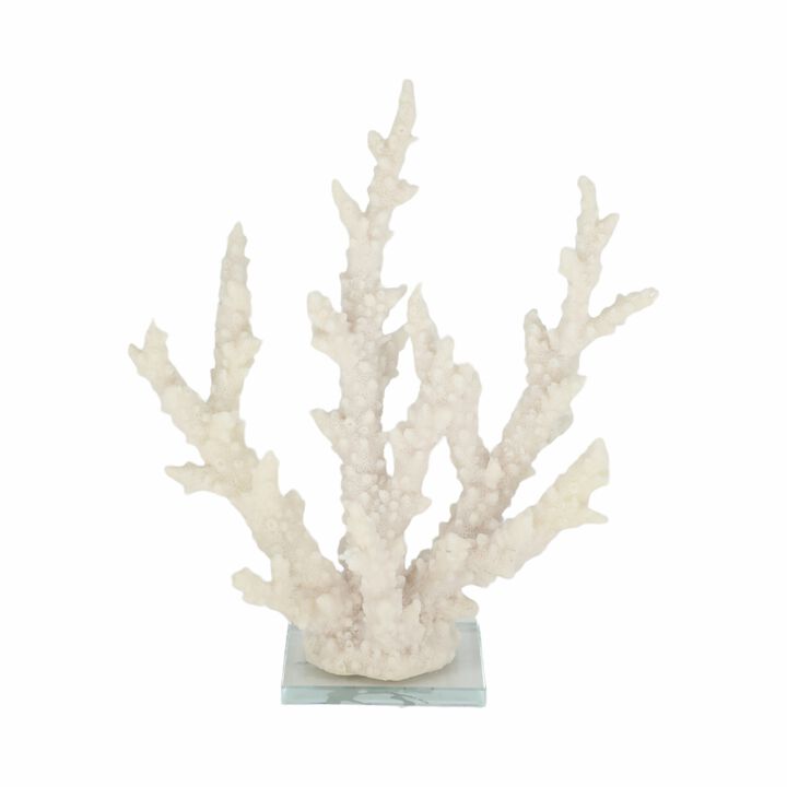14" Branching Coral On Glass Base, White