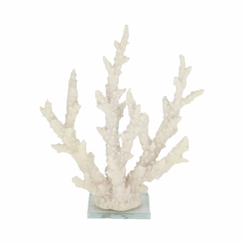 14" Branching Coral On Glass Base, White image number 0