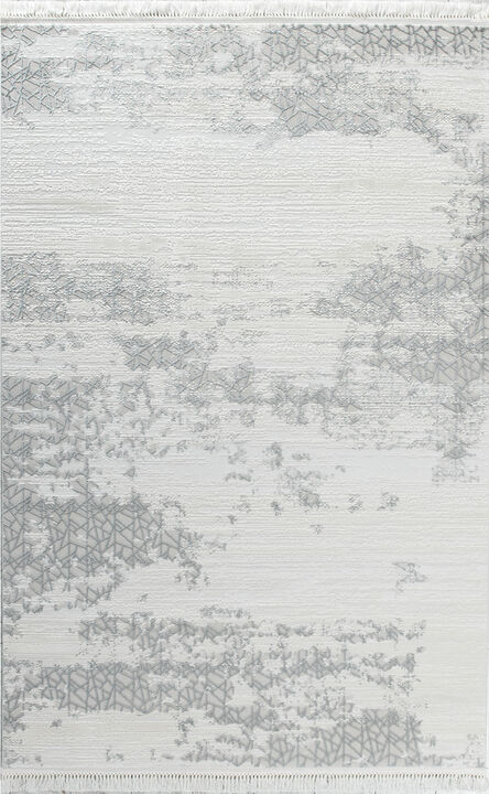 HomeRoots Abstract Distressed Area Rug With Fringe