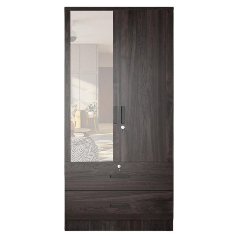 Mirrored 2 Door Wardrobe in Brown Color