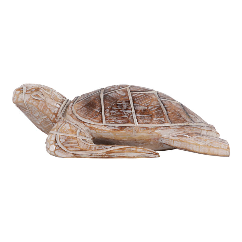 12x8" Alibizia Wood Turtle image number 2