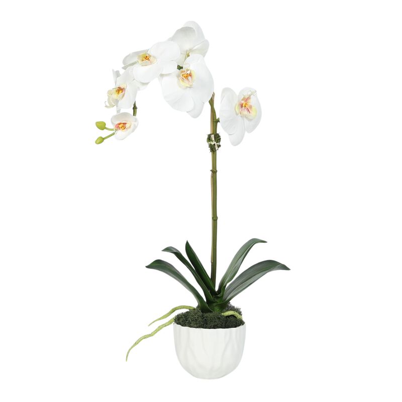 Faux Orchid Plant in White Vase - 18" image number 0