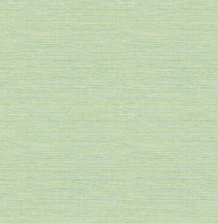 Agave Green Imitation Grasscloth Wallpaper (Set of 2)