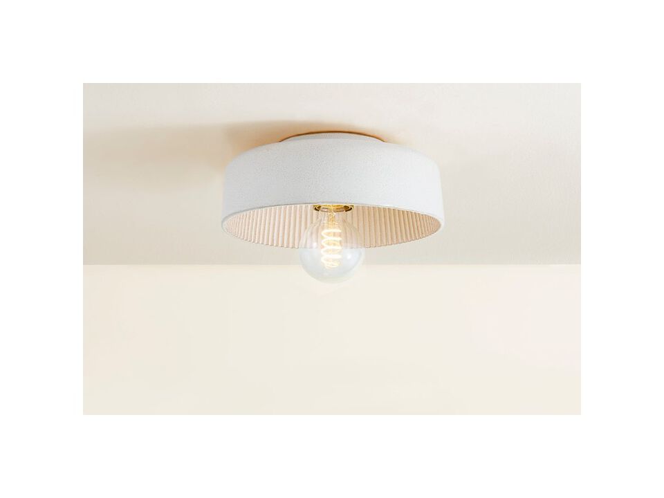 Ray Flush Mount