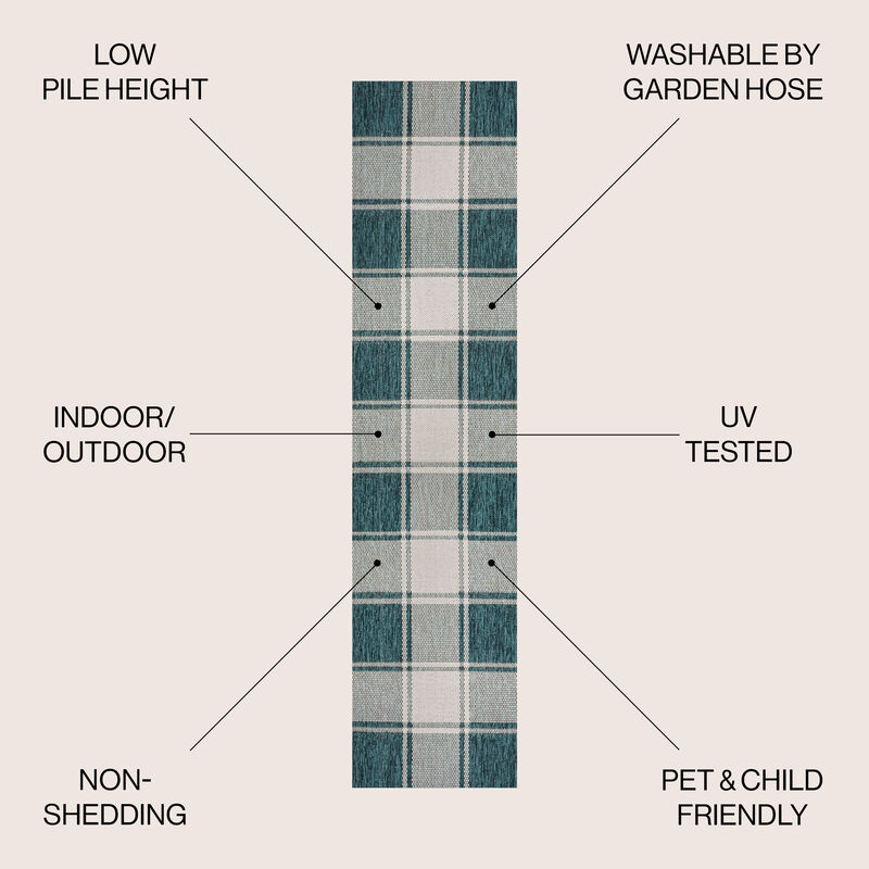 Sabine Traditional Farmhouse Bold Gingham Indoor/Outdoor Area Rug