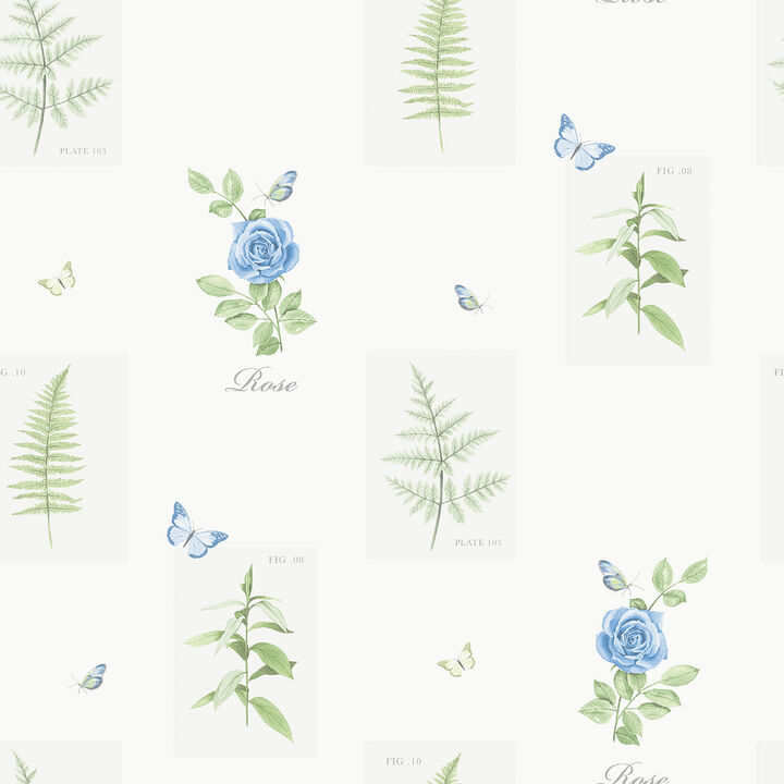 Country Cottage Rose Botanical Motif Blue Wallpaper S45206