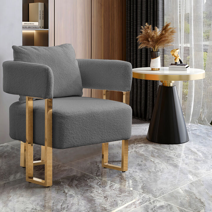 Set of 2 Teddy Fleece Accent Chairs with Gold Metal Legs for Living Room