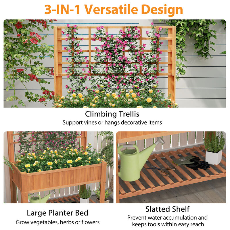 Raised Garden Bed with Legs and Lattice Trellis for Vines and Vegetables