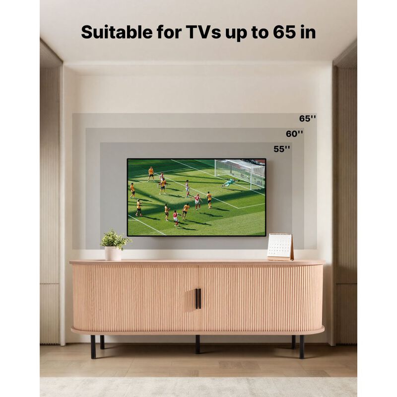 TV Stand for TVs up to 58 Inch with Adjustable Shelves and Sliding Door image number 7