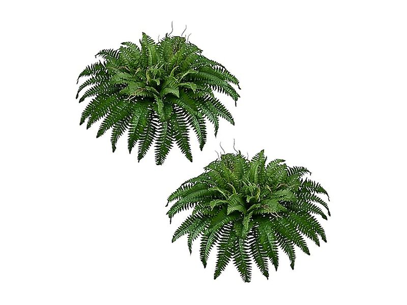 42 Inch Artificial Boston Ferns Bush Set 2 Large Faux Plants 79 Branches Fake image number 0