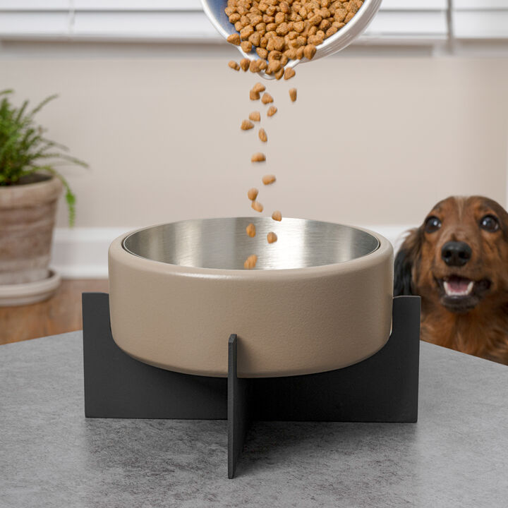 Intersecta Concrete and Stainless Steel Bowl 16oz (2 Cups) with Metal Stand Pet Feeder