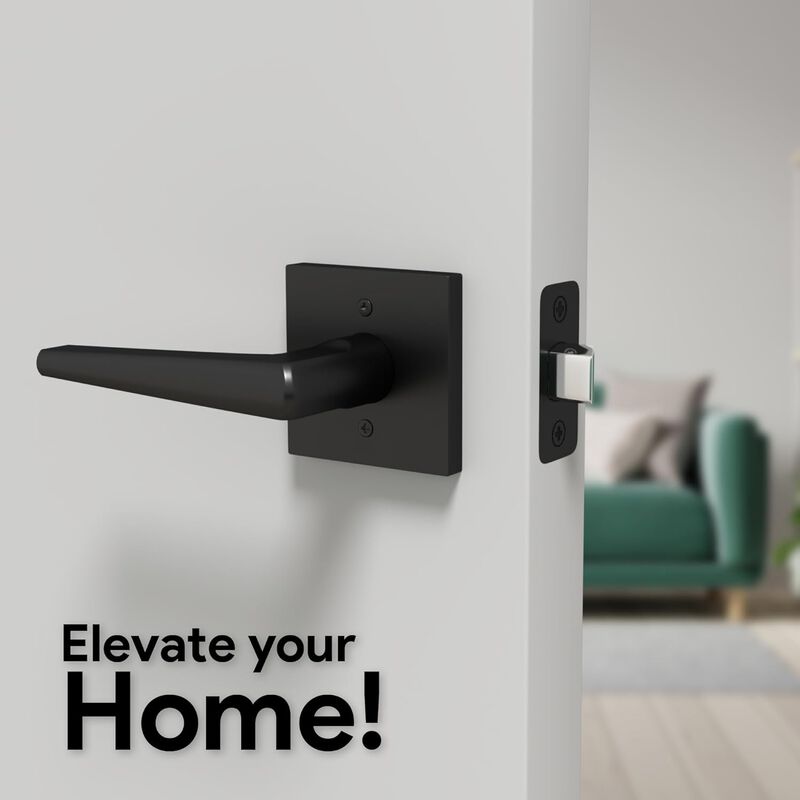 Mega Handles | Schein Passage Lever