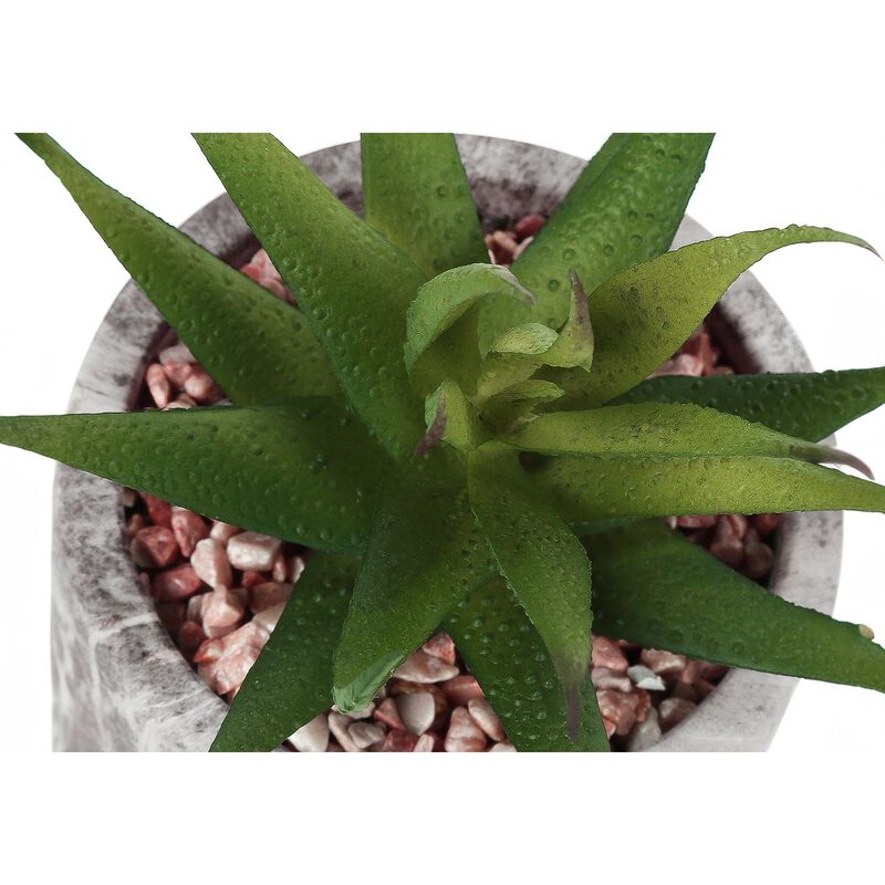 Monarch Specialties I 9586 - Artificial Plant, 6" Tall, Succulent, Indoor, Faux, Fake, Table, Greenery, Potted, Set Of 2, Decorative, Green Leaves, Grey Cement Pots image number 5