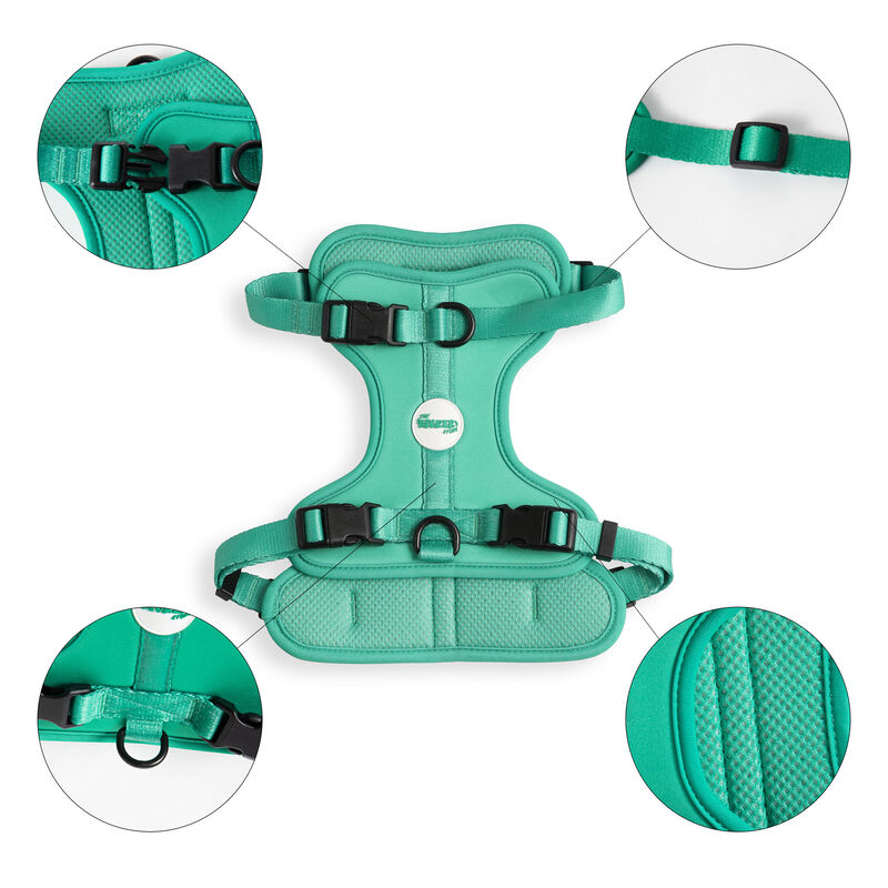 Arlo Adjustable Soft Padded No Pull Pet Harness with 3 Buckles and 3 Leash Clips