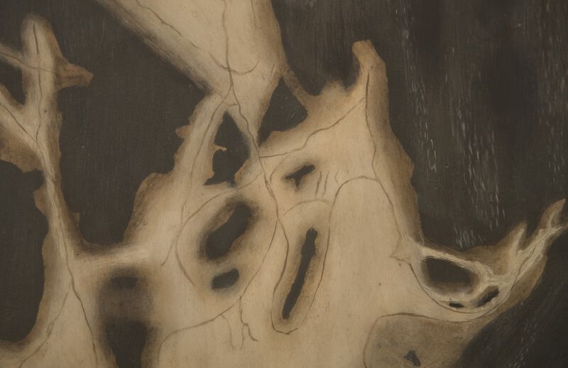 Cast Petrified Square Wood Stool