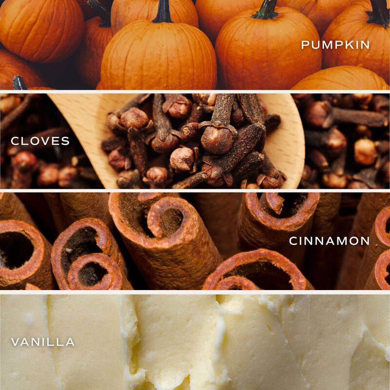 Sweet Water Decor Pumpkin Spice 11 oz Soy Candle image number 3