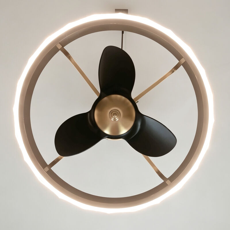 24" Modern Antique Brass Wheel Caged Acrylic Reversible Dimmable Ceiling Fan with Light and Remote for Bedroom, Living Room or Dining Room image number 6