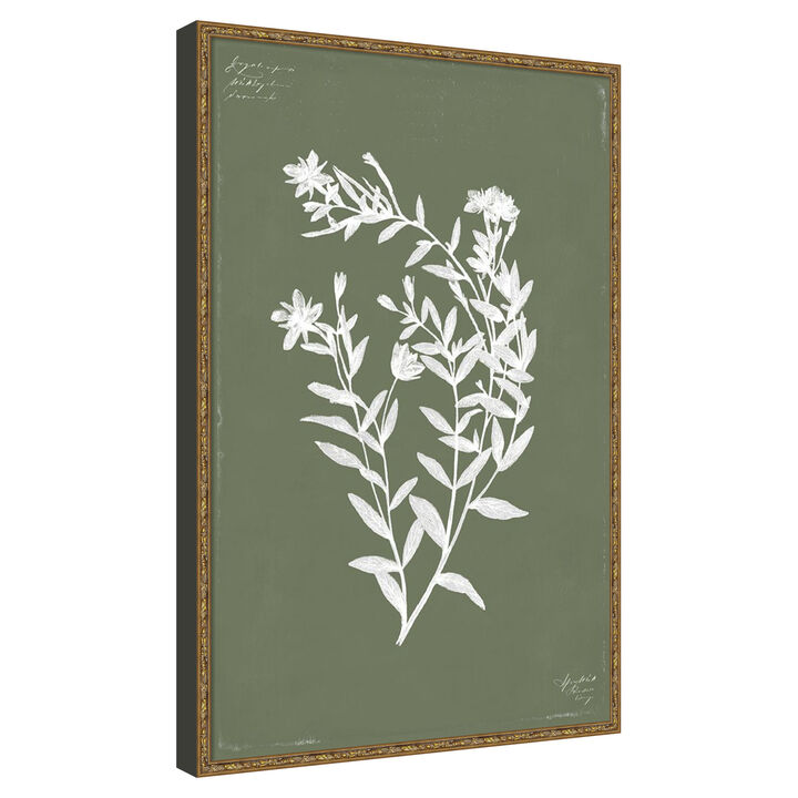 Botanical Garden III by PI Studio Framed Canvas Wall Art