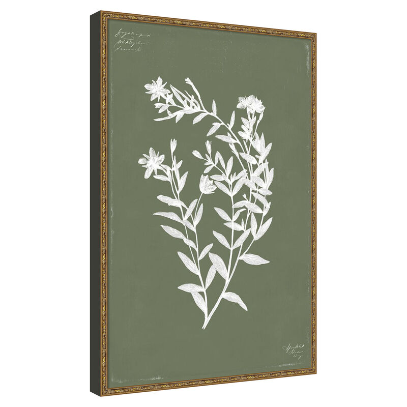 Botanical Garden III by PI Studio Framed Canvas Wall Art image number 0