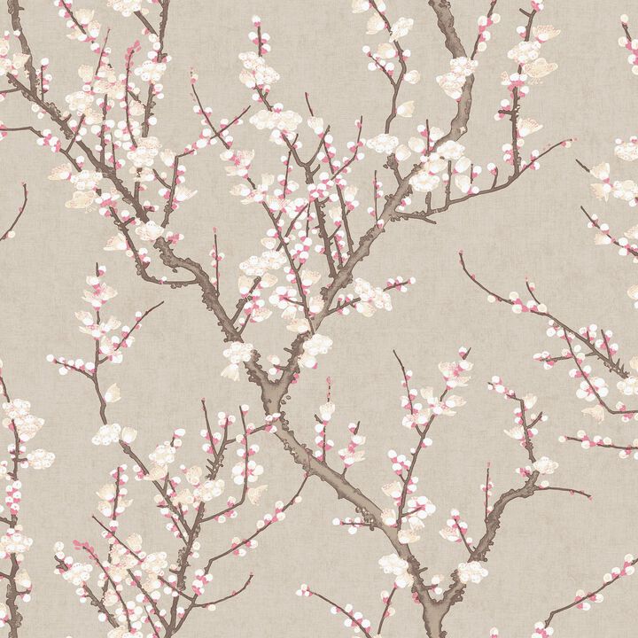 Spring Blossom Sakura Tree Blue Wallpaper 1903-1