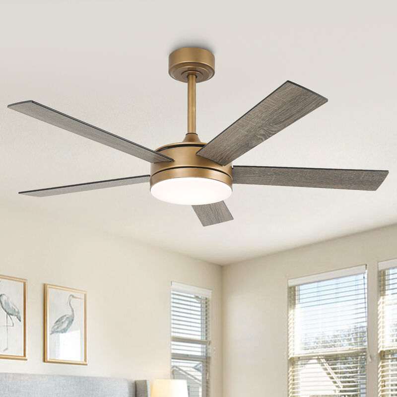 48" Modern Gold Reversible Dimmable Smart 5 Blade Ceiling Fan with APP Control and Remote, Light