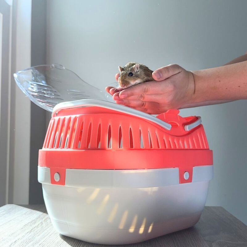 TRIXIE Pico Transport Crate for Traveling, Small Pet Carrier Ideal for Hamsters image number 1