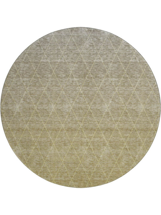 Lazio LZ2 Gold 8' Rug