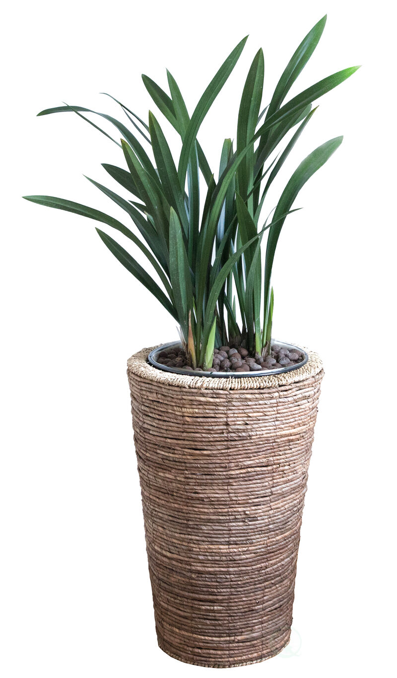 Wicker Banana Rope Tall Floor Planter with Metal Pot, Large