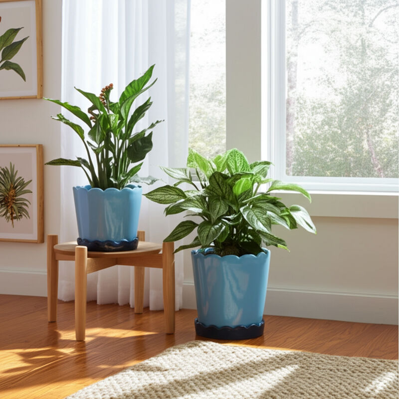 Scallop Edge Planters