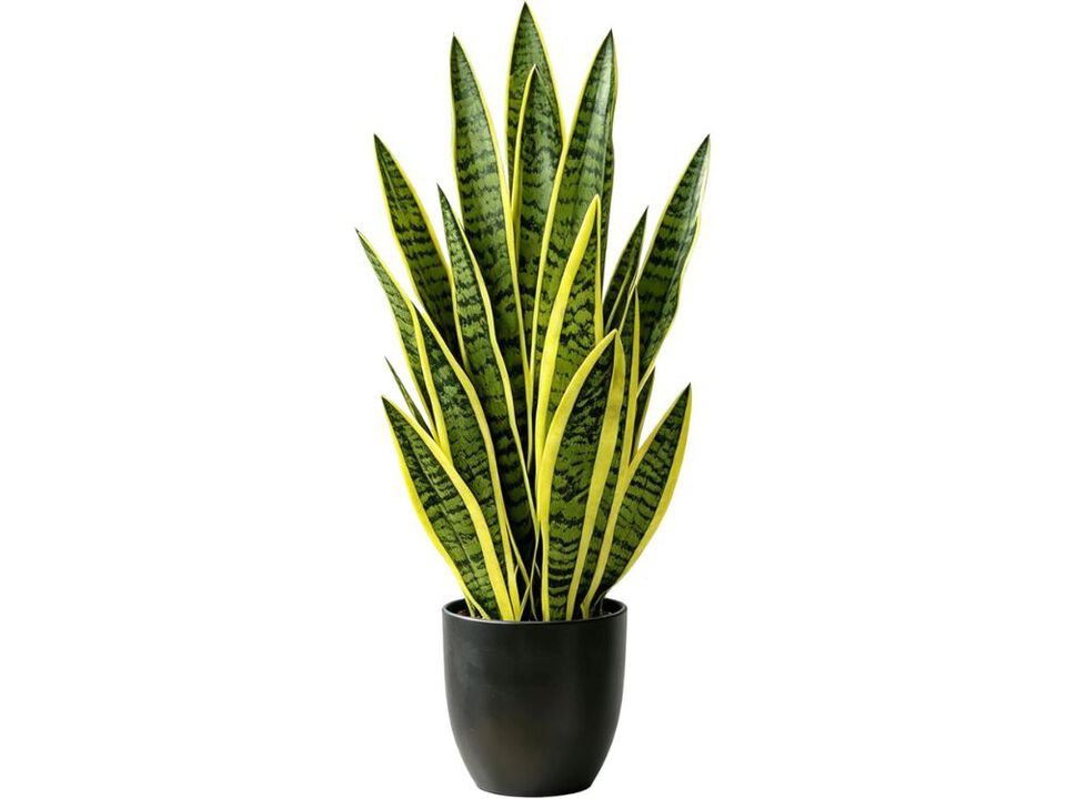 Yellow Artificial Outdoor Plants Home Decor Snake Plant 27