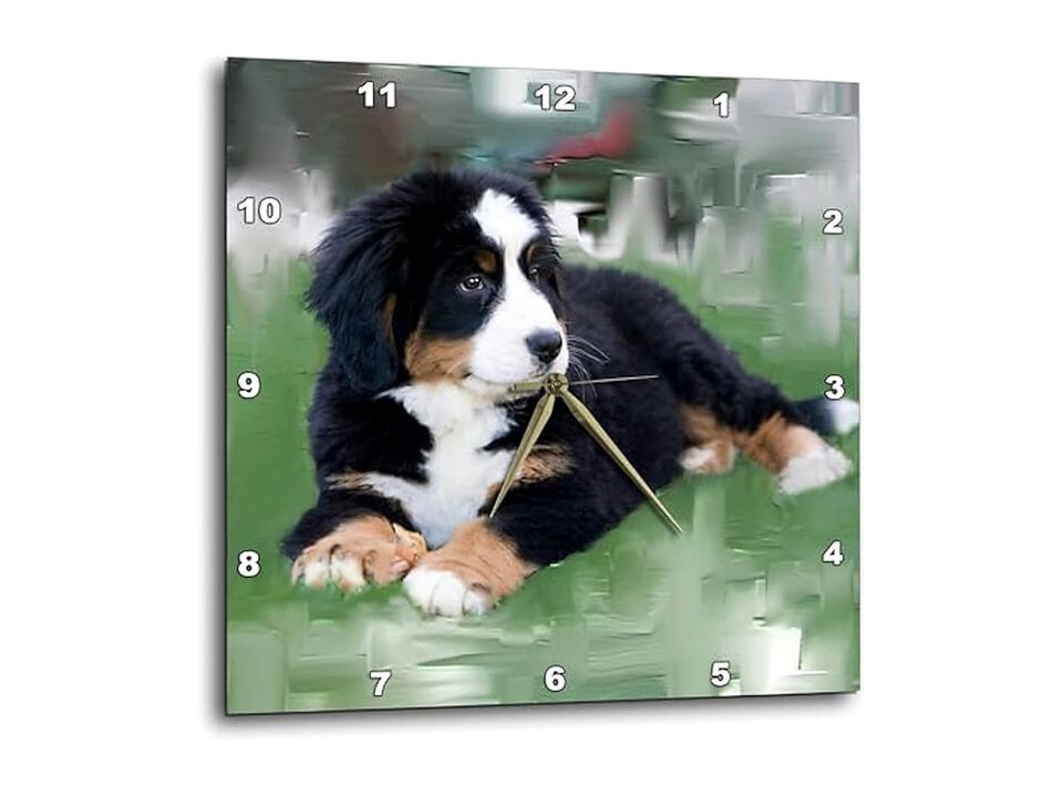 Bernese Mountain Dog Wall Clock 13 Inch Home Decor