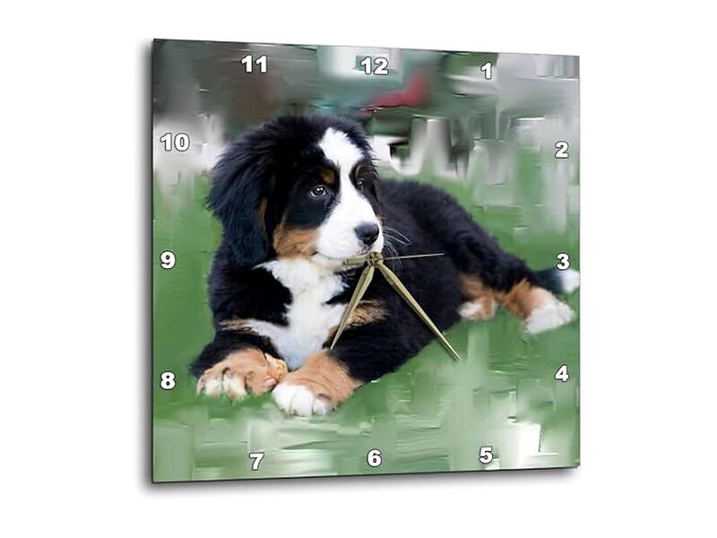 Bernese Mountain Dog Wall Clock 13 Inch Home Decor image number 0
