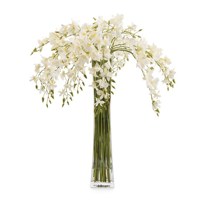 Towering Dendrobiums