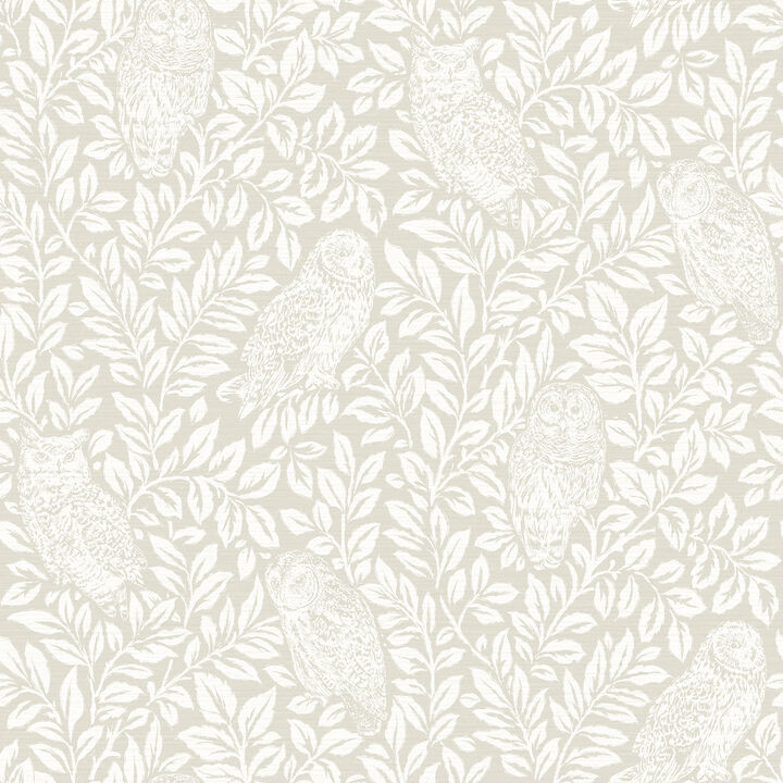 Parliament Cream Owl Wallpaper