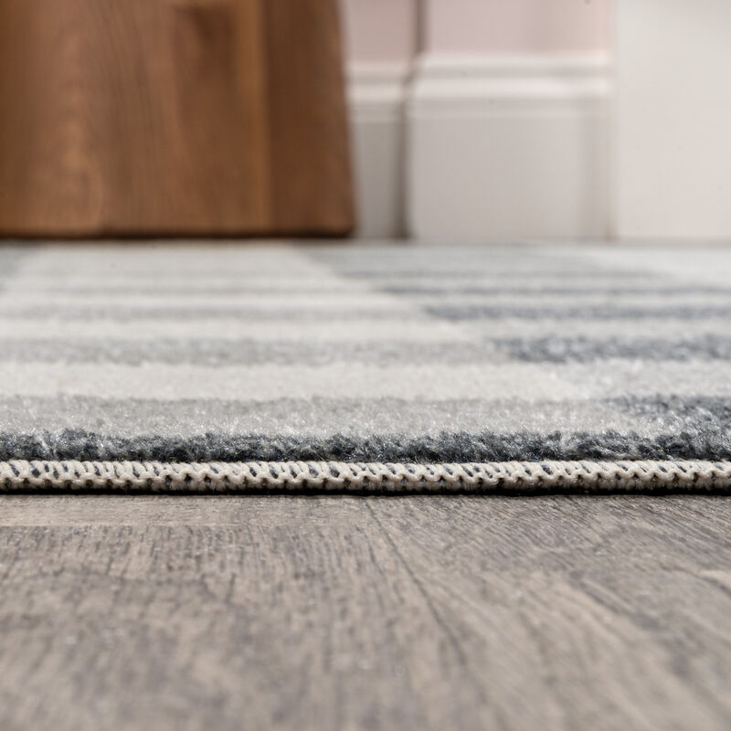 Gingham Gradient Plaid Cottage Machine-Washable Light Area Rug