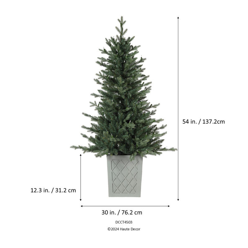 4.5 Foot Barcelona Blue Spruce Potted Tree image number 2