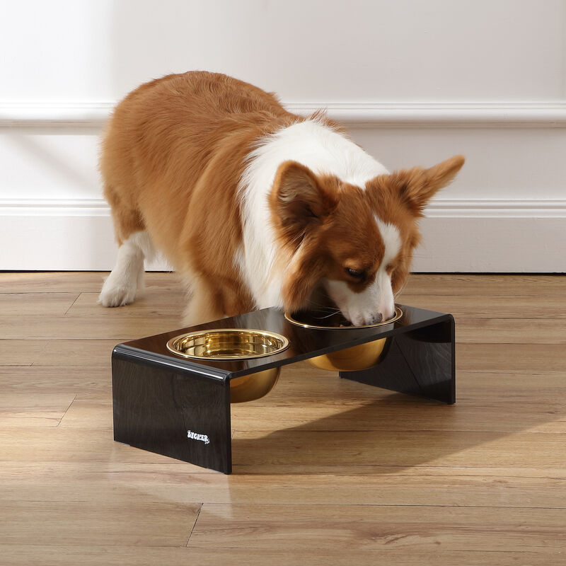 Keaton Modern Acrylic Rectangular Elevated Pet Feeder with Stainless Steel Bowls