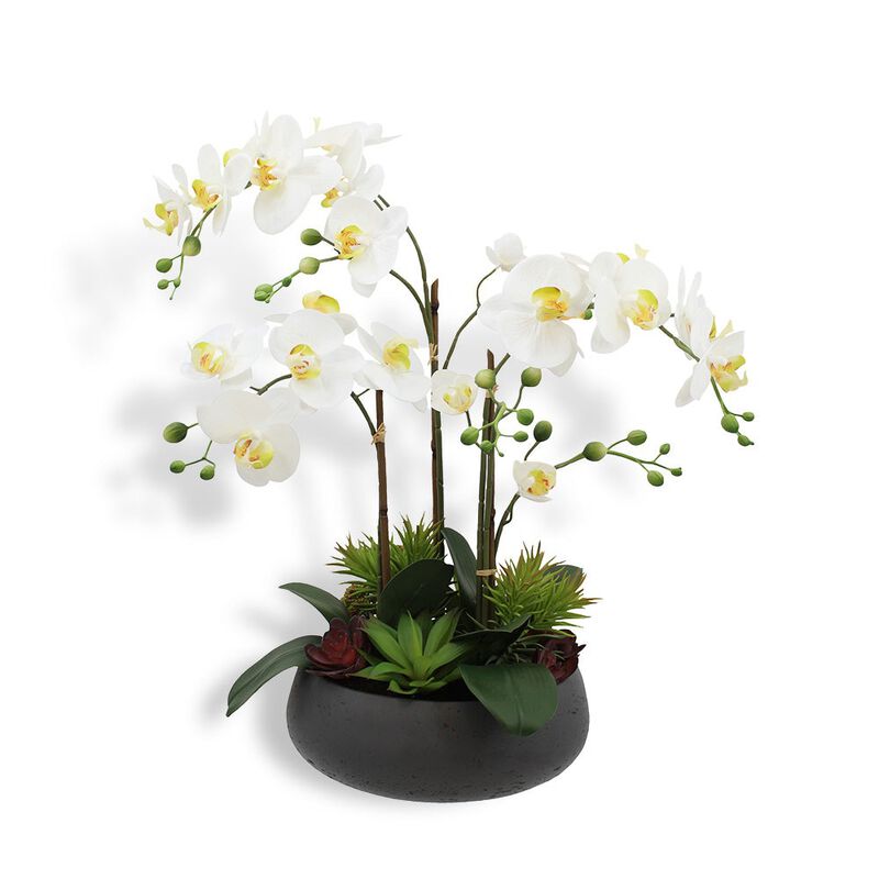 Artificial Orchid with Succulents image number 0