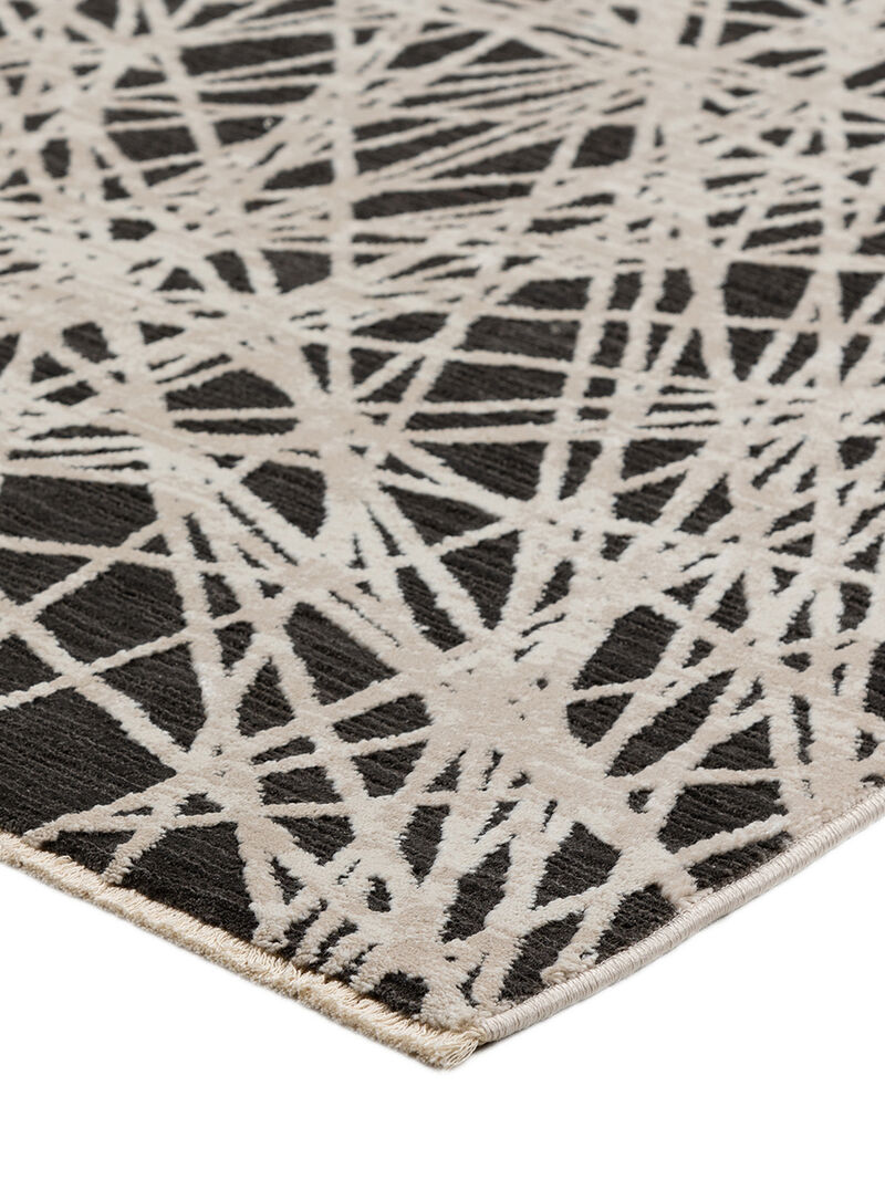 Denizi DZ4 Collection